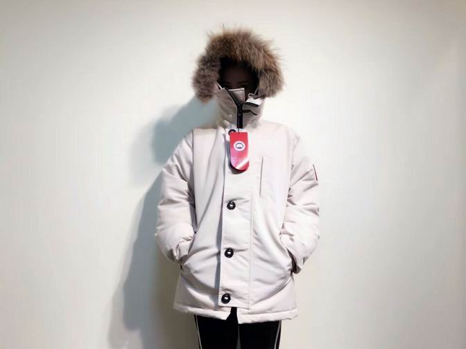 canada goose-022
